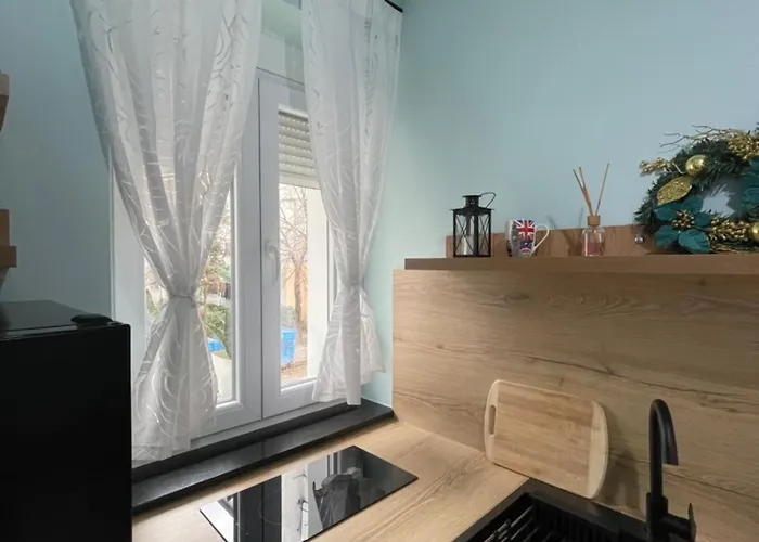 Franci\'S Apartment No3